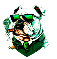 E-DOGG Bail Bonds in Vista, CA helping clients.
