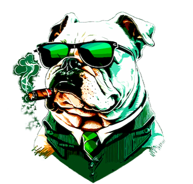 E-DOGG BAIL BONDS 24/7 Bail Bonds in Vista, CA – Fast Help from E-DOGG Bail Bonds